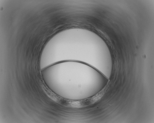 X0000085300409200703231903