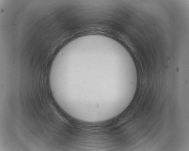 X0000085300411200703231903