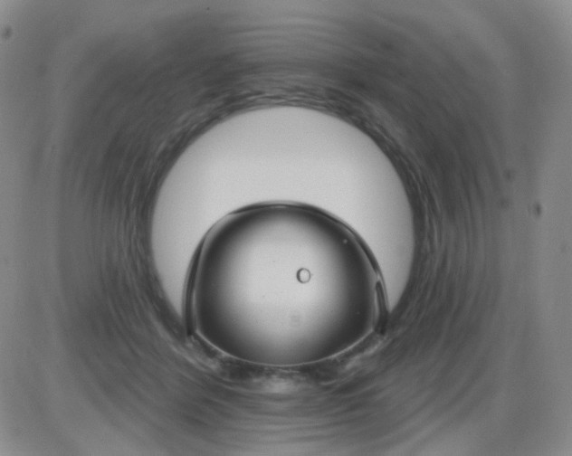 X0000085300412200703231903