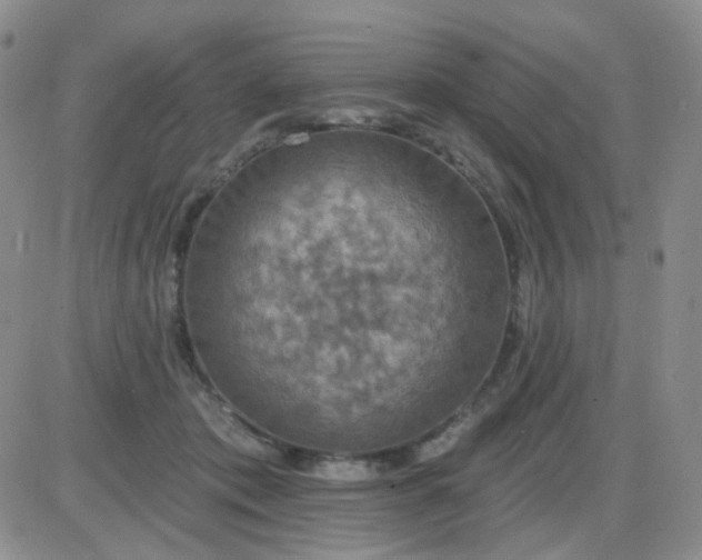 X0000085300413200703231903