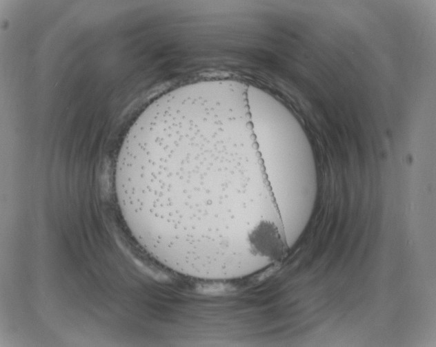 X0000085300414200703231903