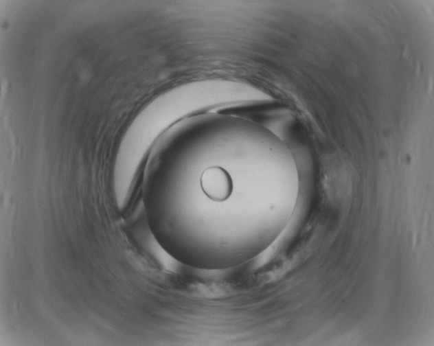 X0000085300417200703231903