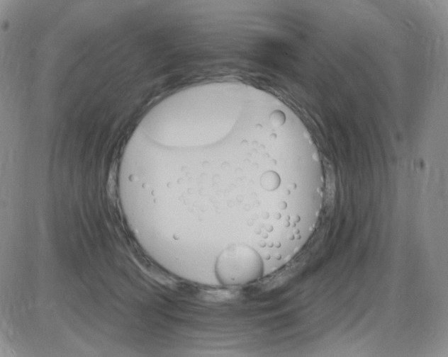 X0000085300418200703231903