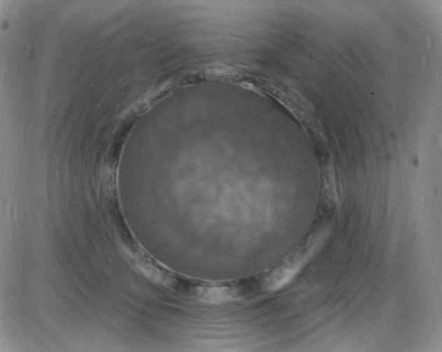 X0000085300419200703231903