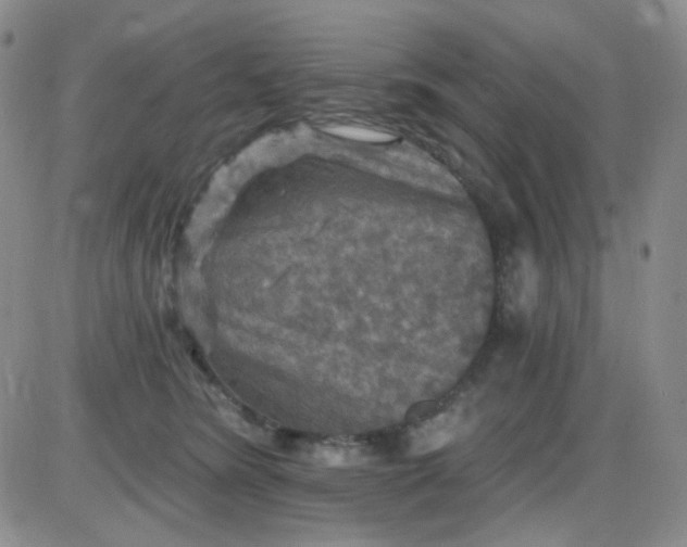 X0000085300420200703231903