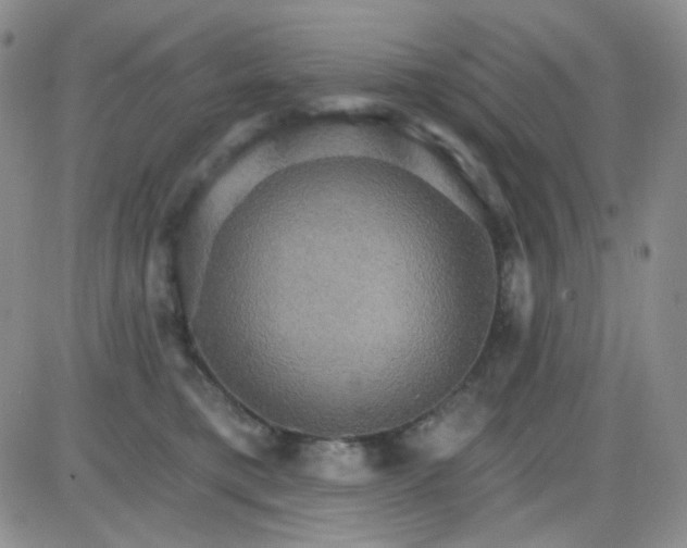 X0000085300421200703231903