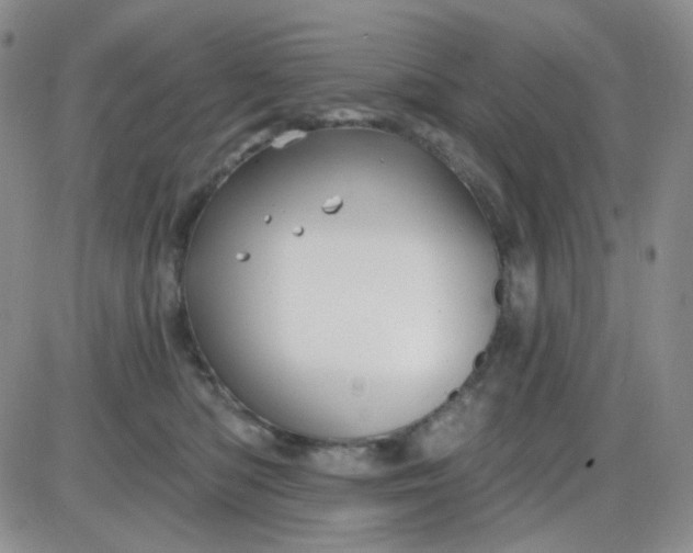 X0000085300422200703231903