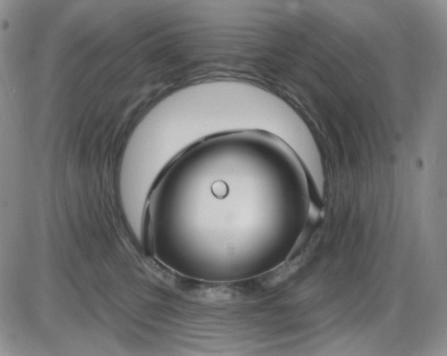 X0000085300423200703231903