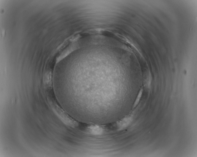 X0000085300425200703231903