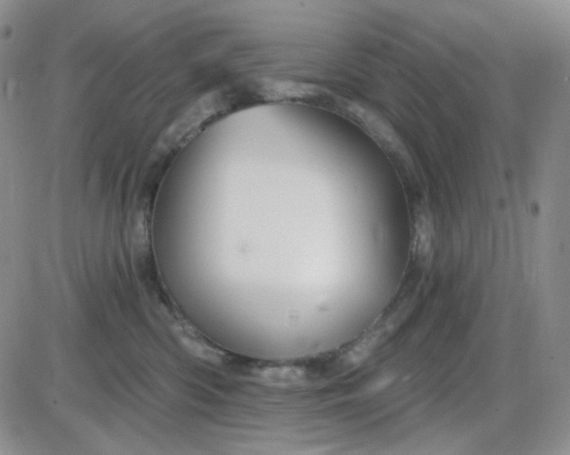 X0000085300426200703231903