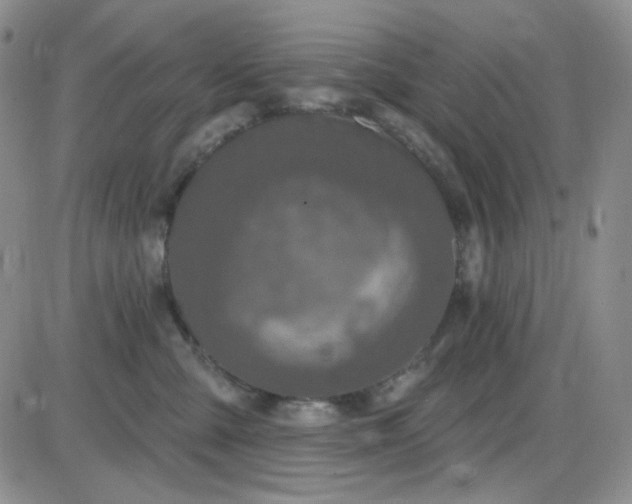 X0000085300427200703231903