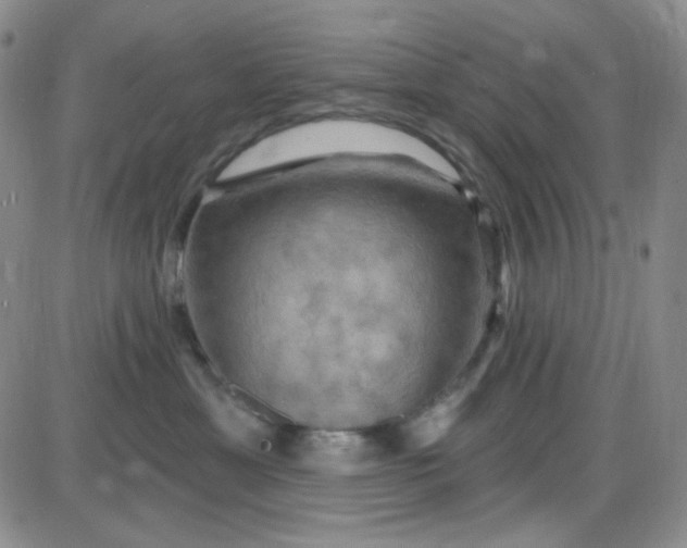 X0000085300429200703231903