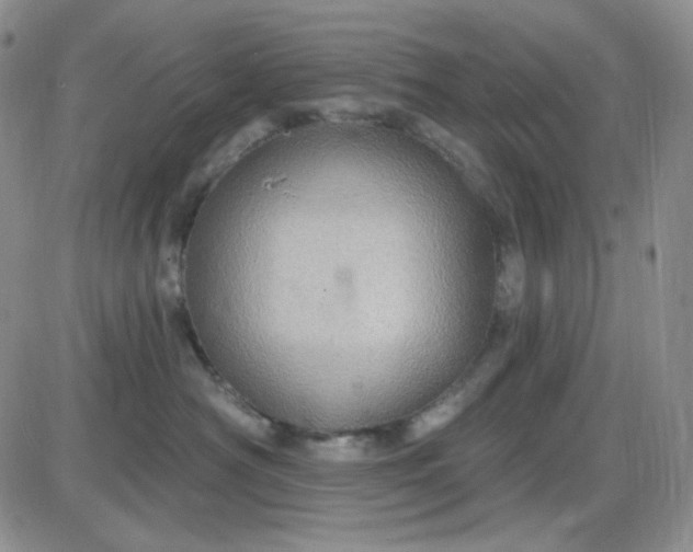 X0000085300430200703231903