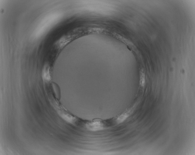 X0000085300431200703231903