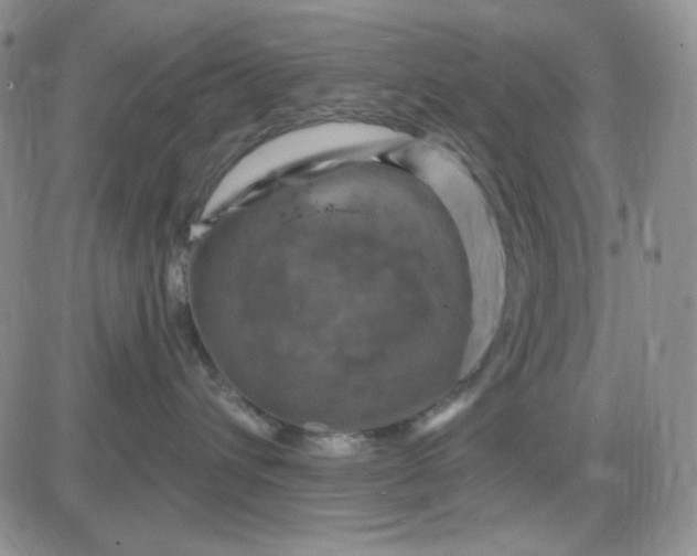 X0000085300432200703231903