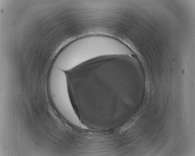 X0000085300434200703231902