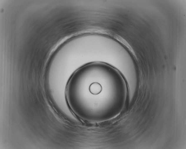 X0000085300436200703231902