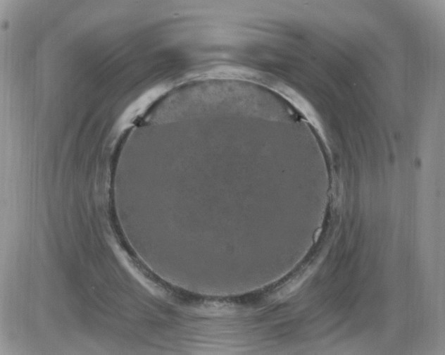 X0000085300437200703231902