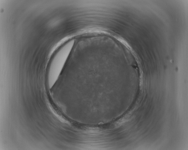 X0000085300438200703231902