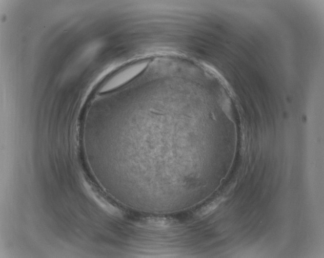 X0000085300439200703231902