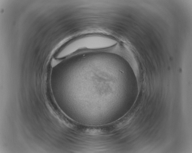 X0000085300440200703231902