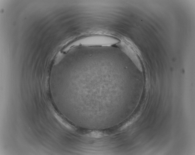 X0000085300441200703231902