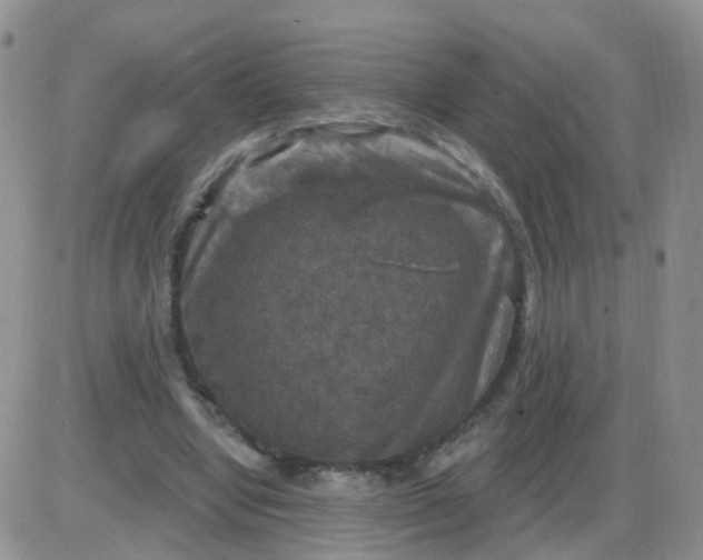 X0000085300442200703231902