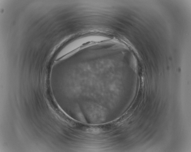 X0000085300444200703231902