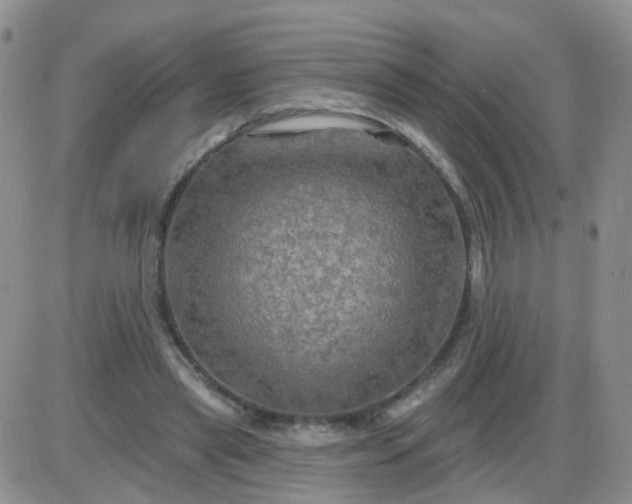 X0000085300445200703231902