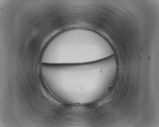 X0000085300446200703231902