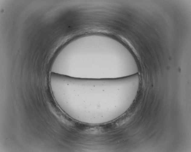 X0000085300447200703231902