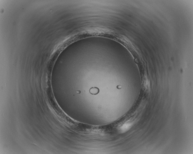 X0000085300448200703231902