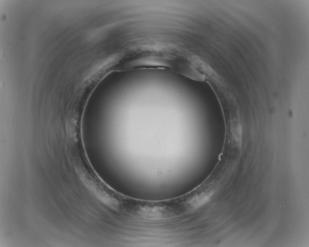 X0000085300450200703231902