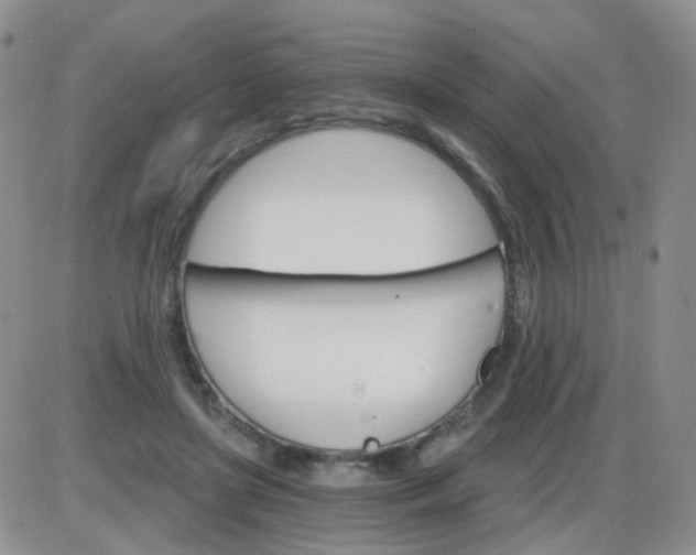 X0000085300451200703231902