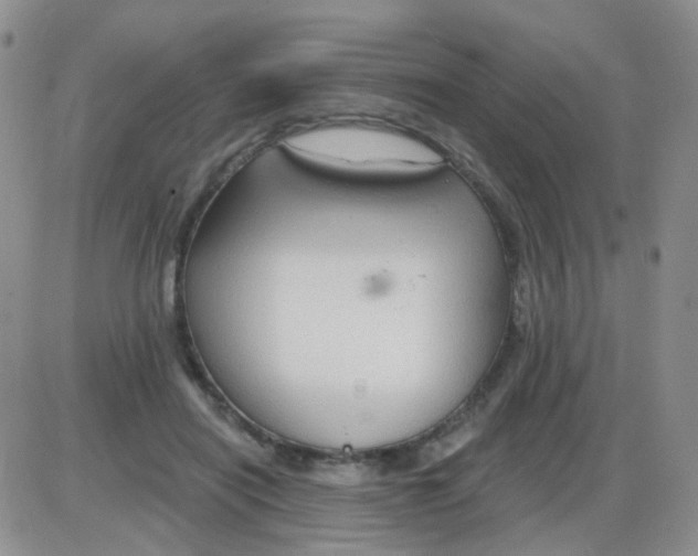 X0000085300454200703231902