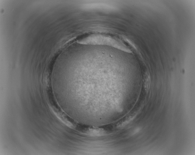 X0000085300455200703231902