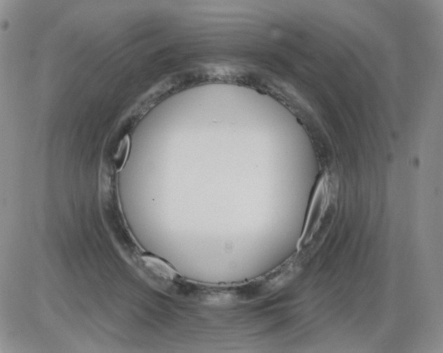 X0000085300456200703231902