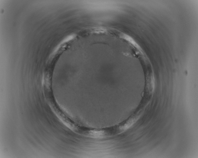 X0000085300457200703231902