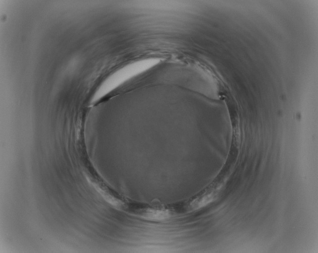 X0000085300458200703231902