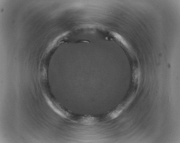 X0000085300459200703231902