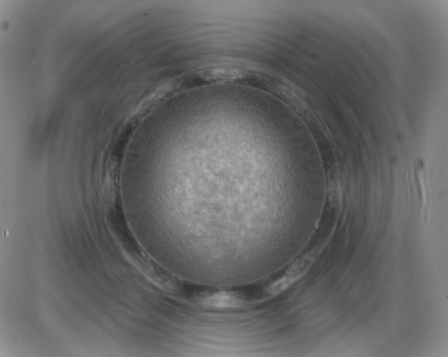 X0000085300460200703231902