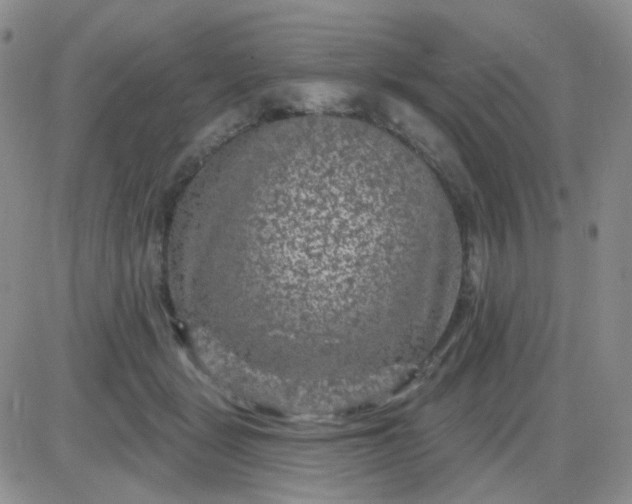 X0000085300461200703231902