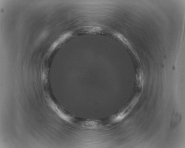 X0000085300462200703231902