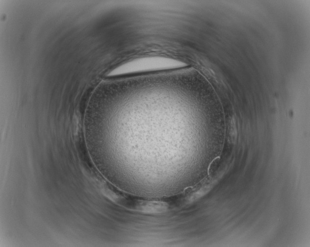 X0000085300463200703231902