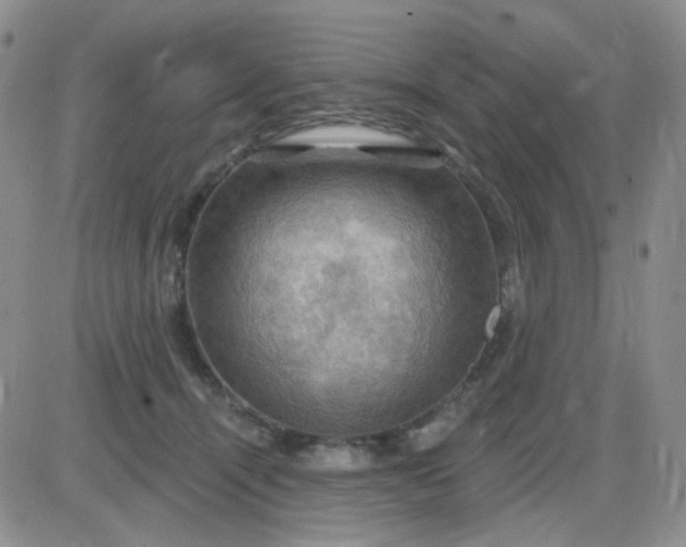 X0000085300464200703231903