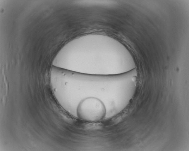 X0000085300465200703231903