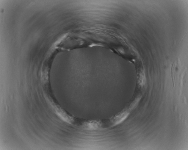 X0000085300466200703231903