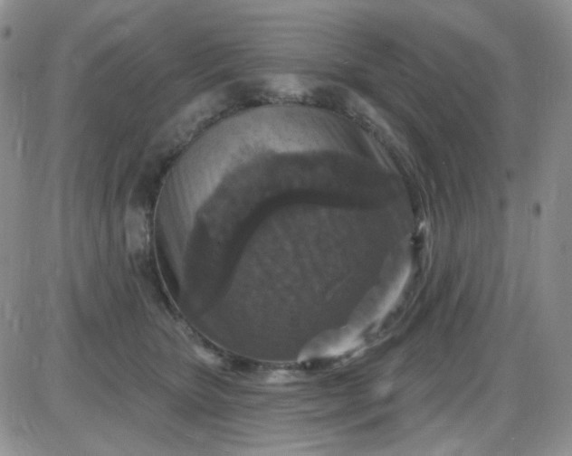 X0000085300467200703231903