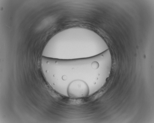 X0000085300469200703231903