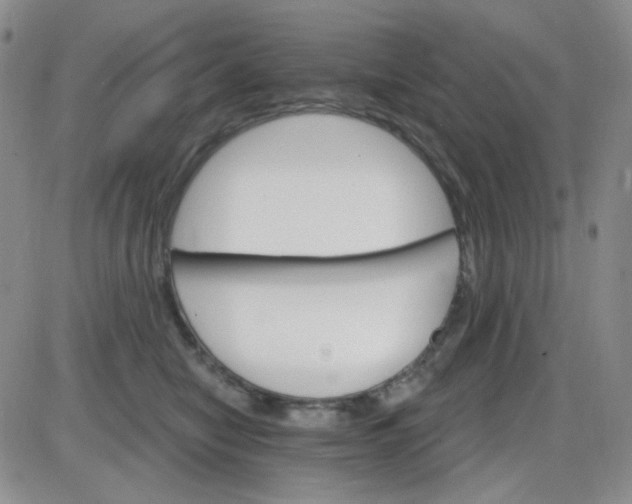 X0000085300470200703231903